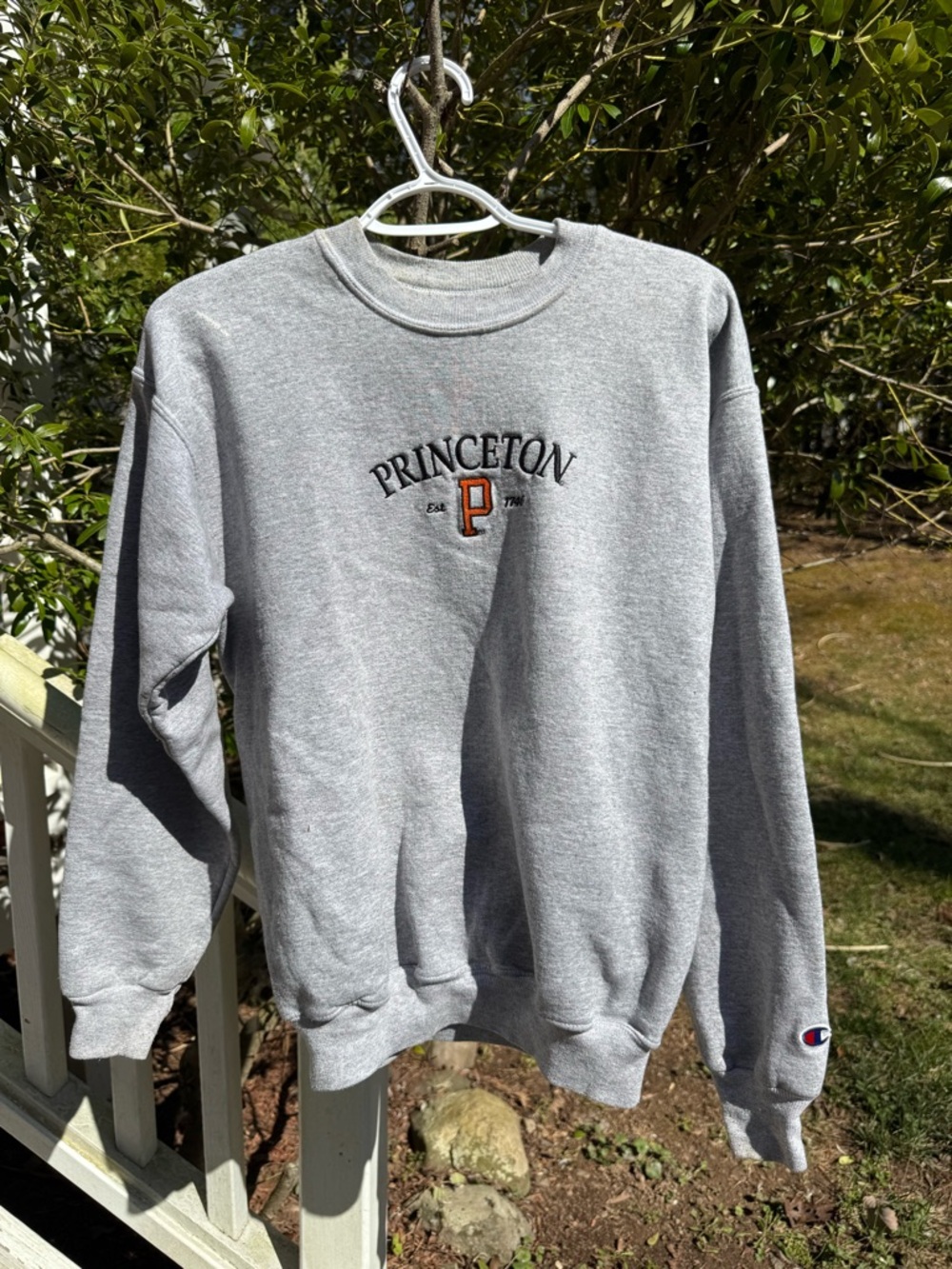 Vintage Champion Gray Princeton Crewneck Sweatshirt
